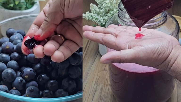 Best Foods for Liver Detox to Burn Fat and Boost Immunity