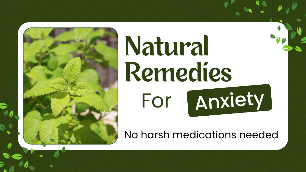 Natural Remedies for Anxiety: Calm Your Nervous System